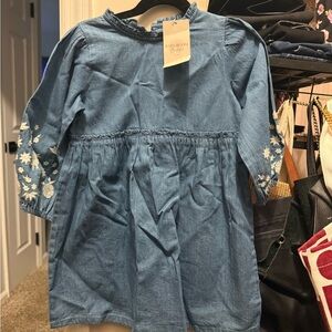 David Brooks Denim Dress with Embroidered Sleeves